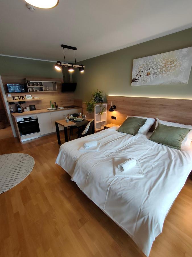 לובליאנה Bed & Breakfast Rezidenca Pipanova מראה חיצוני תמונה